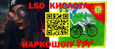 шишки Лесосибирск
