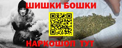 шишки Лесосибирск