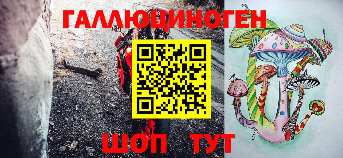 Псилоцибиновые грибы Psilocybine cubensis Казань