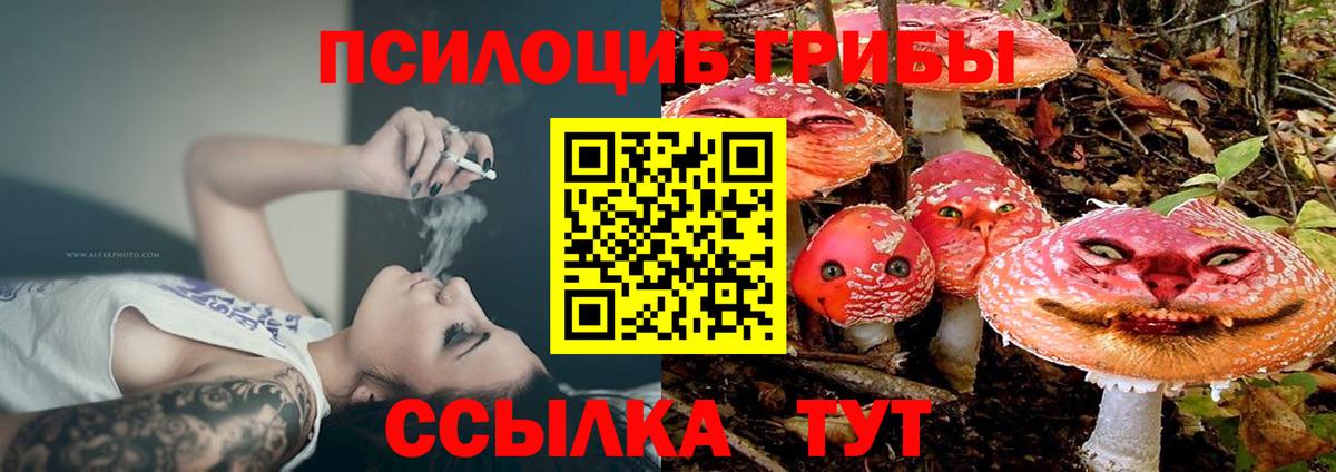 Галлюциногенные грибы ЛСД  Вход с VPN  где купить наркоту  Казань 